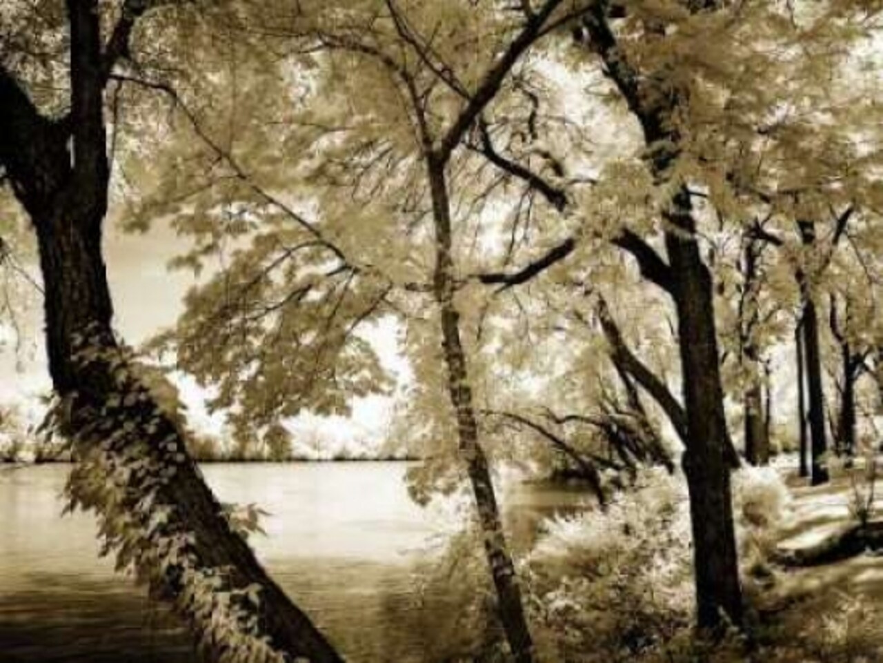 Spring on the River IV Poster Print by Alan Hausenflock - Item # VARPDXPSHSF652